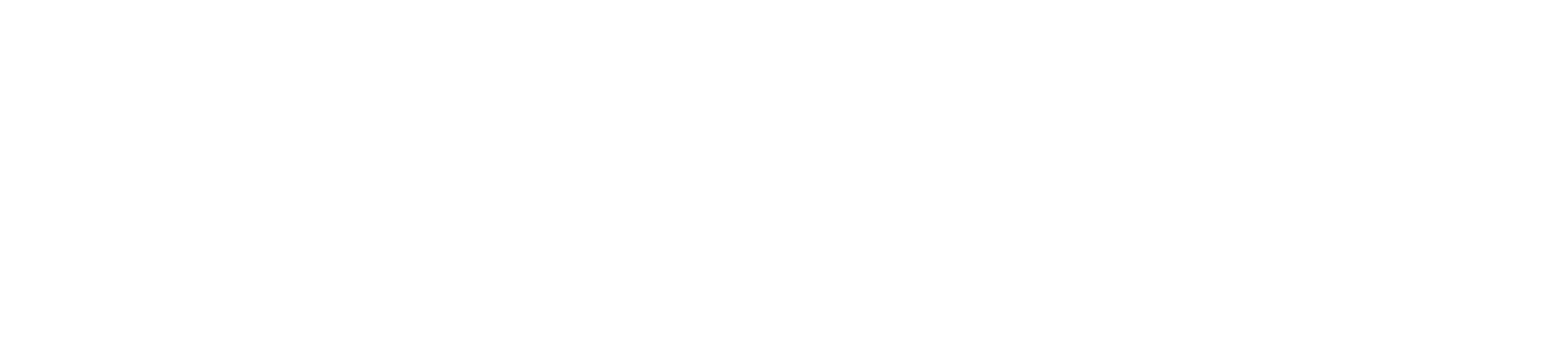 DataConcept Logo